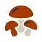Грибы