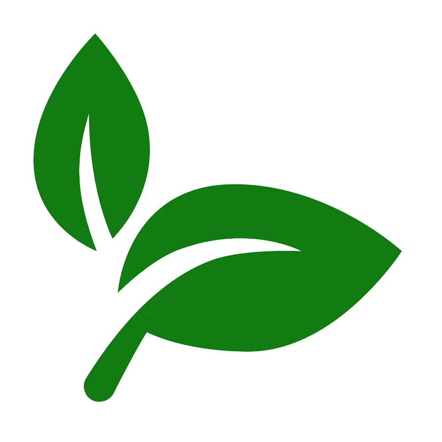 Вегетарианское блюдо